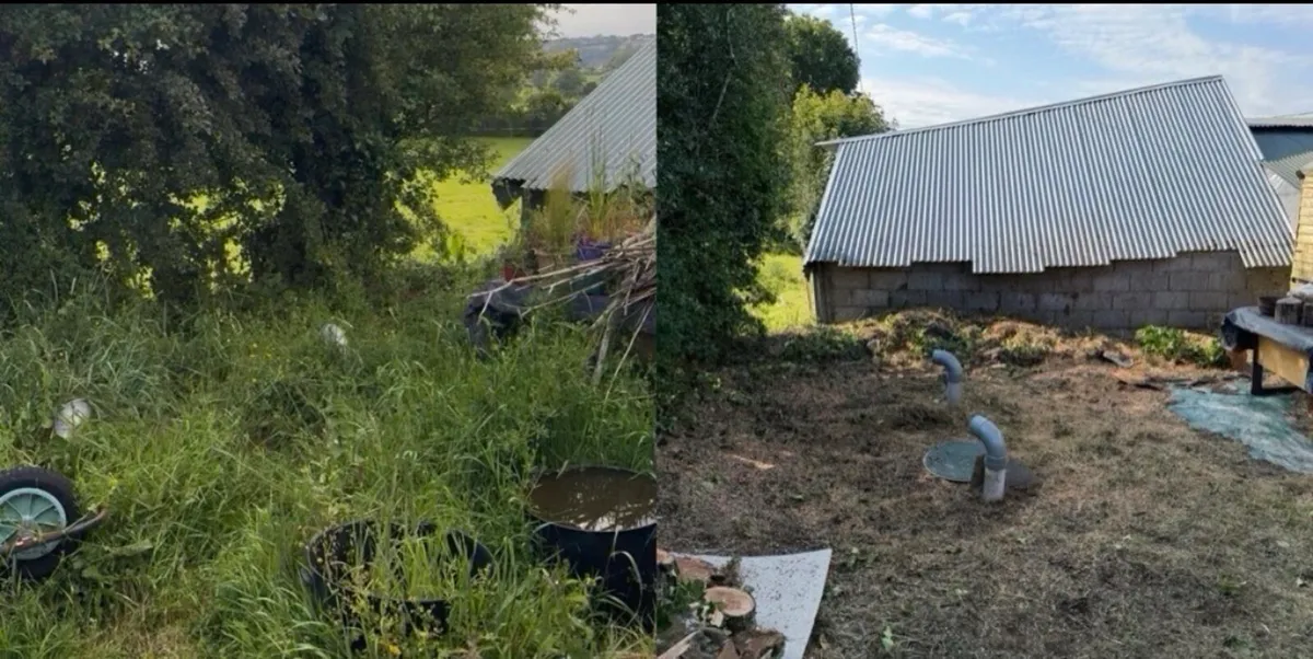 Gardening services - Image 4