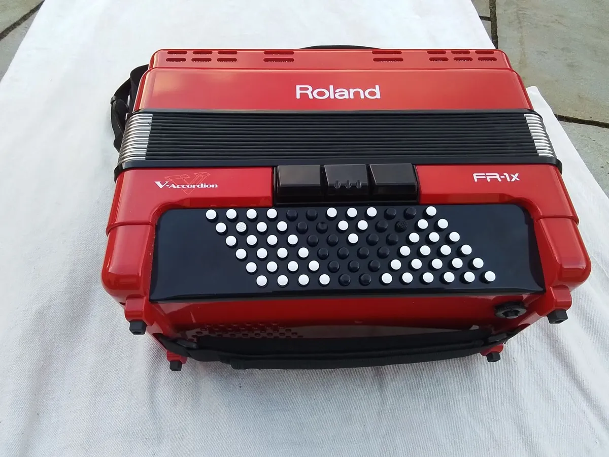 Accordion - Image 4