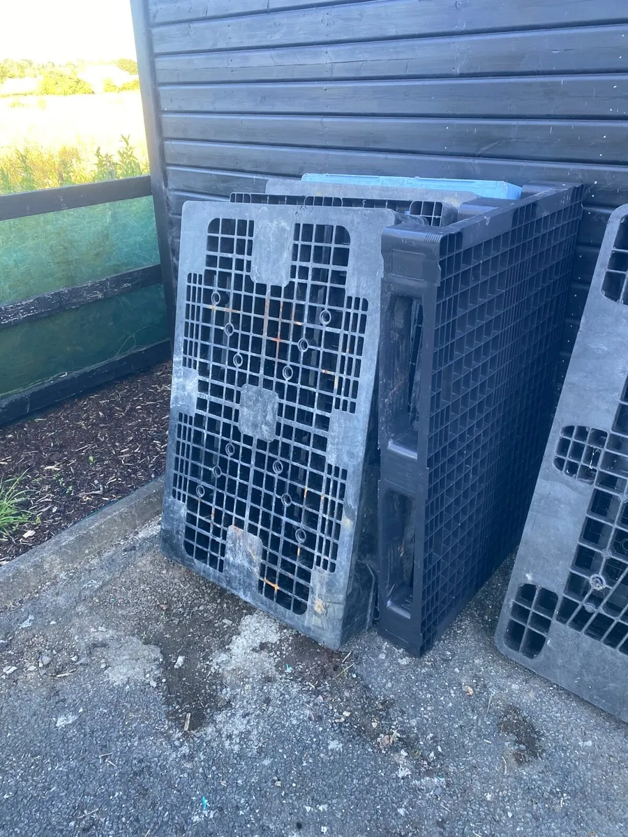 Plastic Pallets