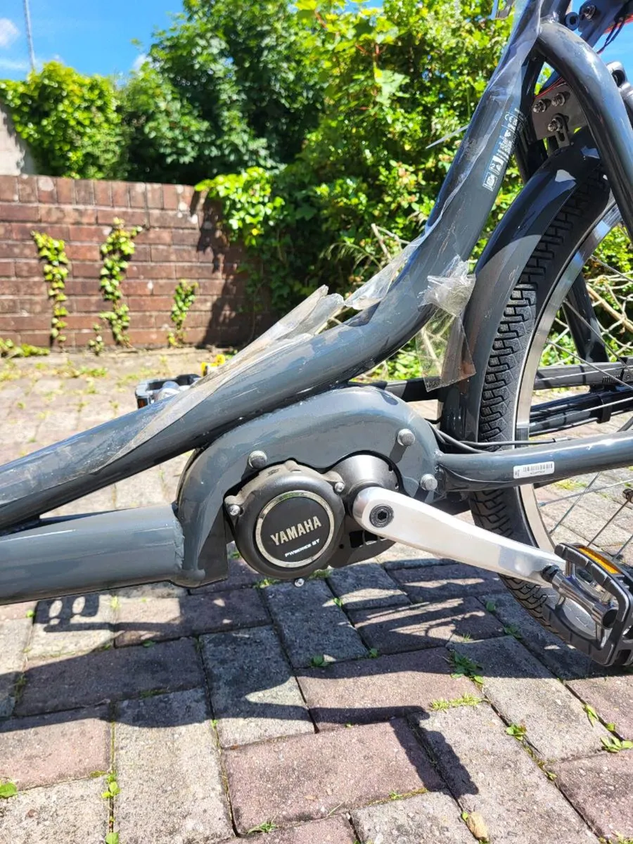 Cargo Bike Babboe Curve Mountain - Image 4