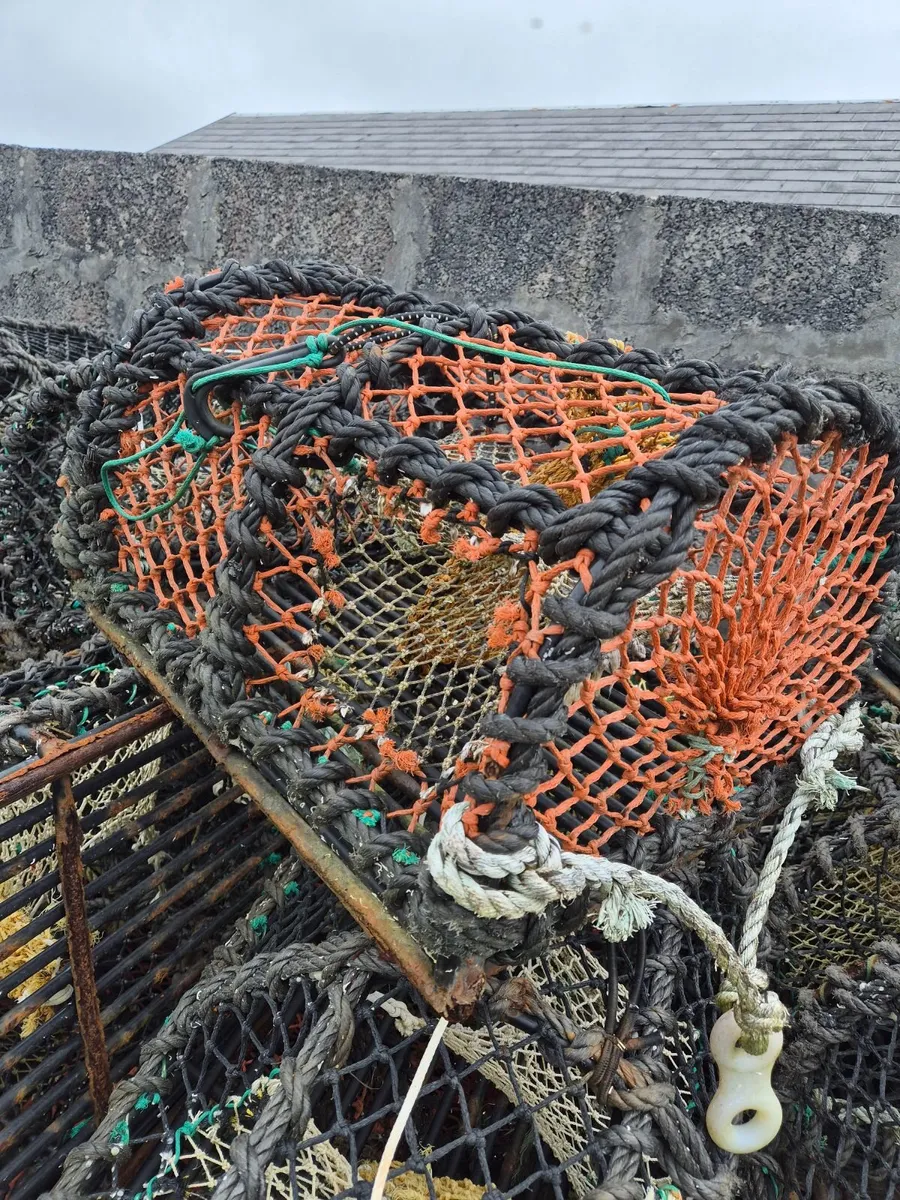 Lobster / crab pots 24" - Image 1