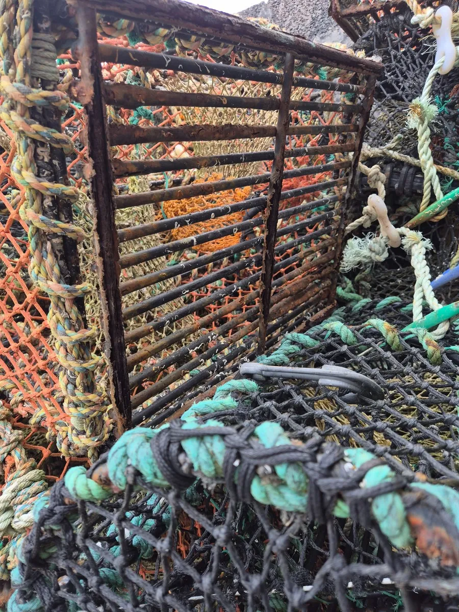 Lobster / crab pots 24" - Image 2