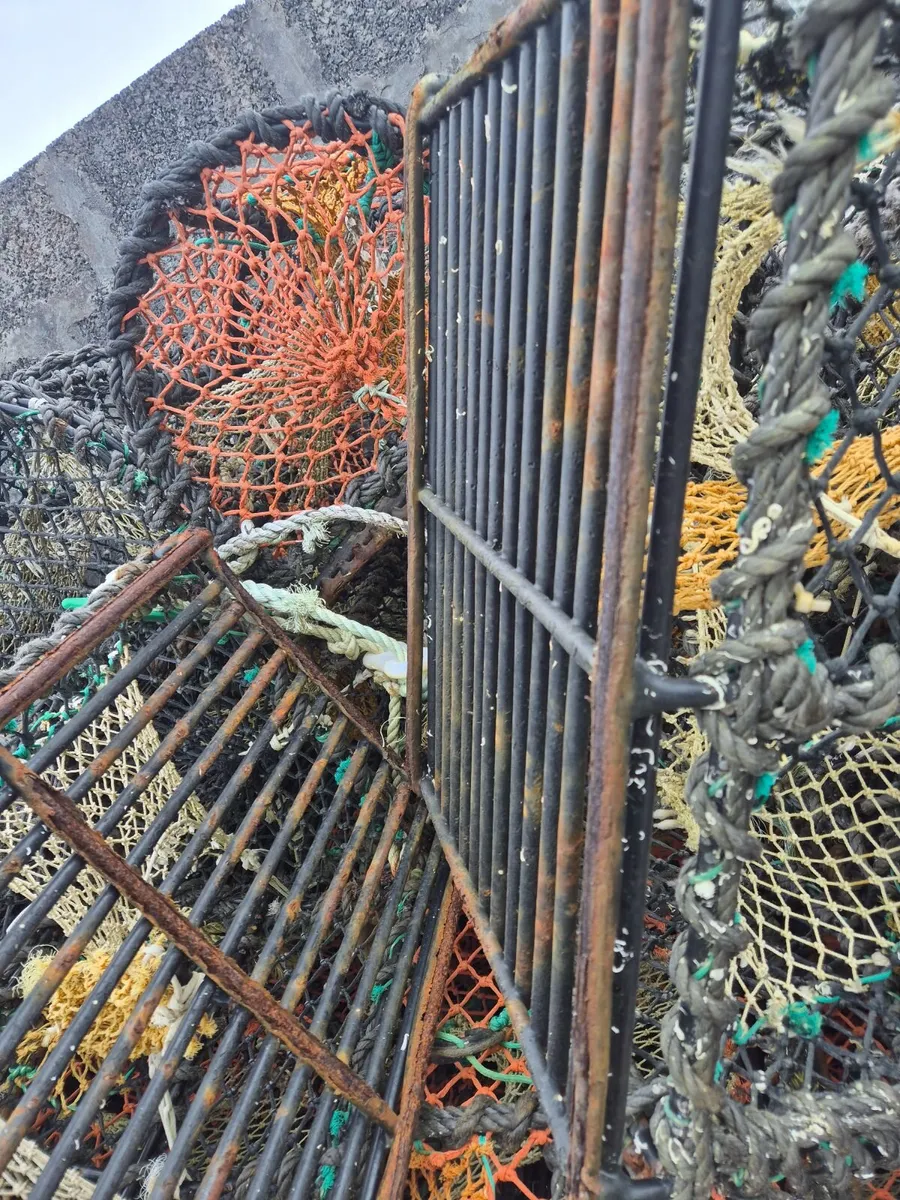 Lobster / crab pots 24" - Image 3