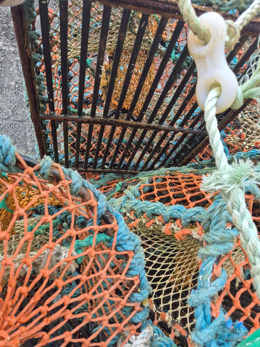 Lobster / crab pots 24" - Image 4