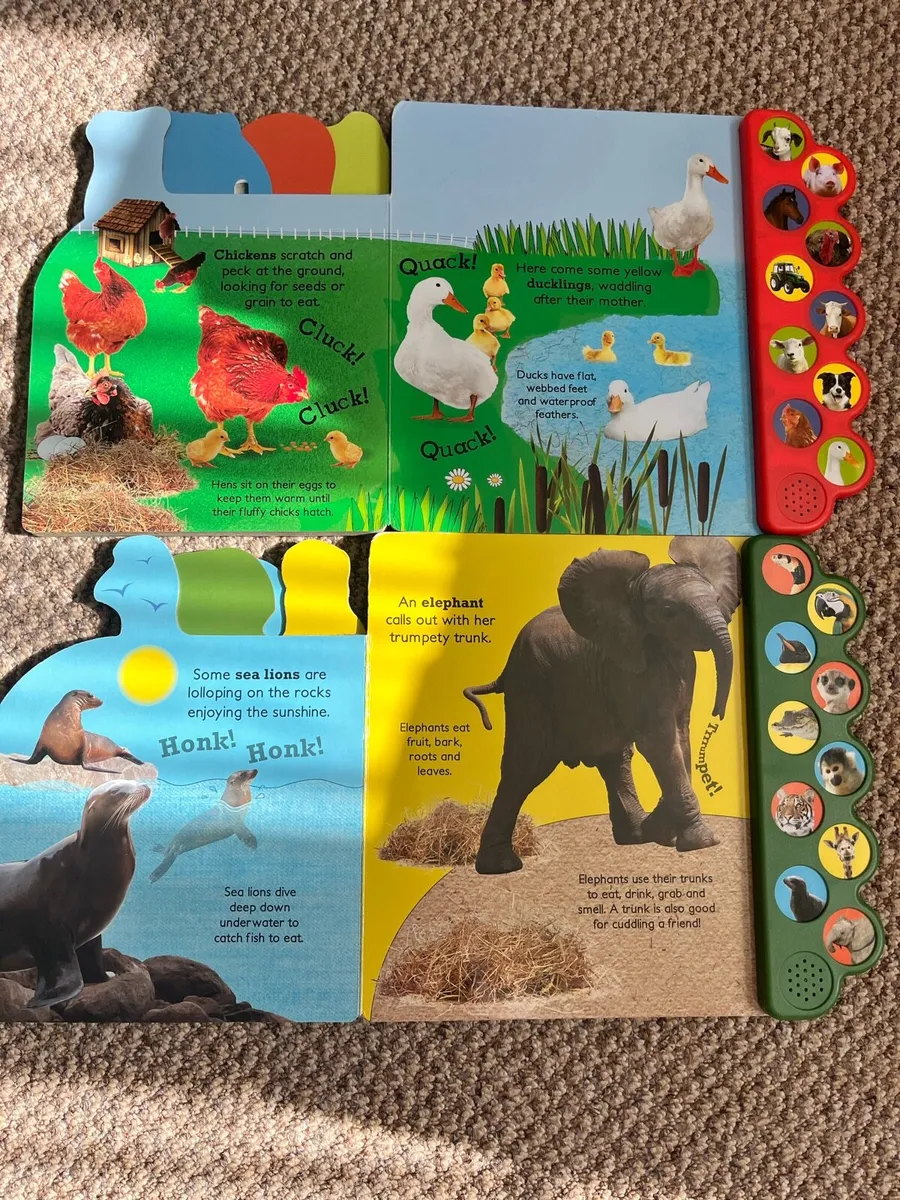 Two new sound books - Image 3