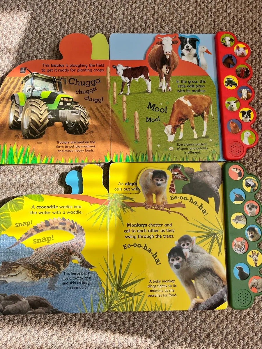 Two new sound books - Image 4