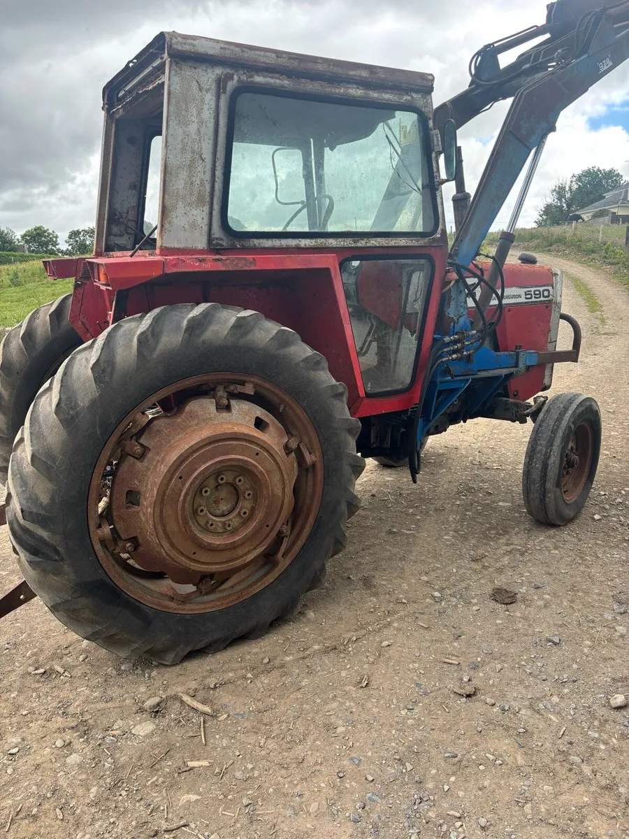 Massey 590 - Image 2