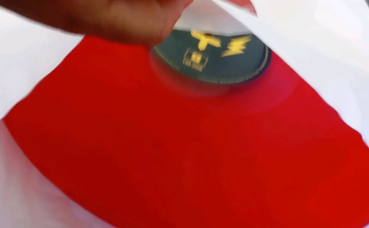 Lana del Rey vinyl and the Weeknd Starboy vinyl - Image 4