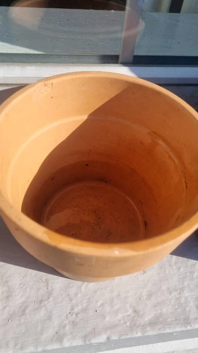 Terracotta and Ceramic flower pots - Image 4