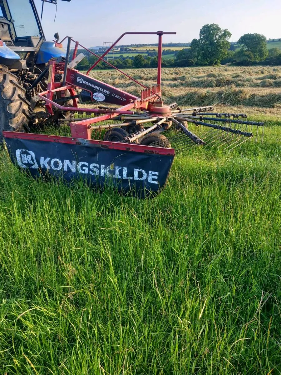 Silage/ hay rake - Image 1