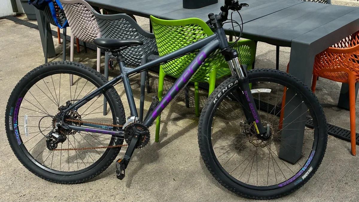 Correa bike - Image 1