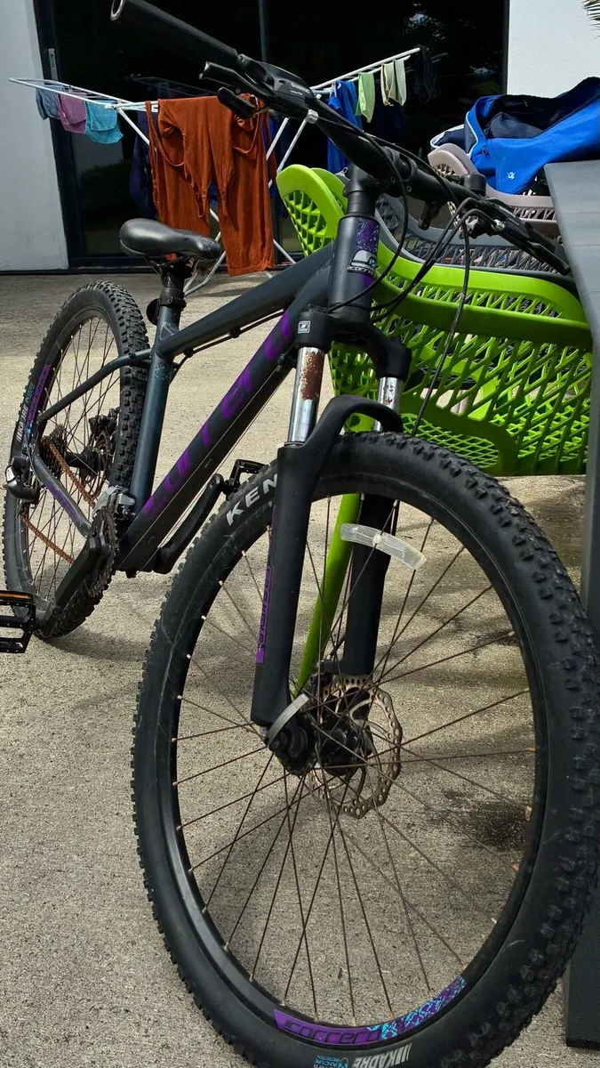 Correa bike - Image 2