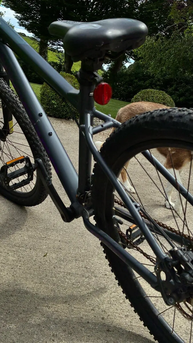 Correa bike - Image 3