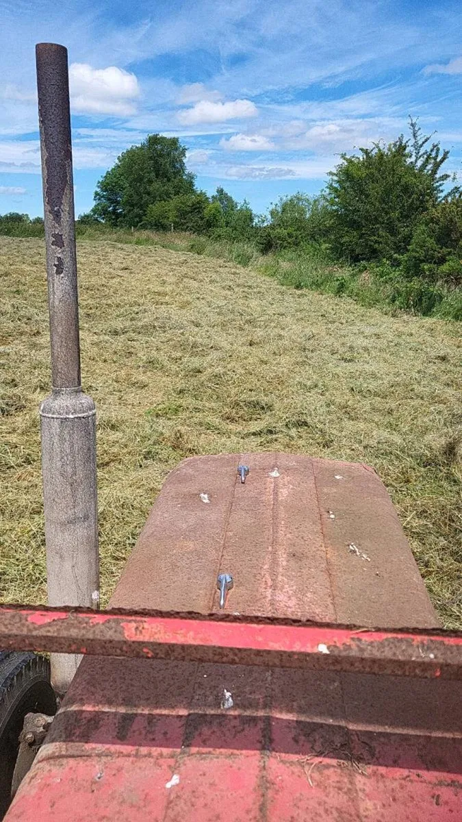 Square bales hay - Image 1