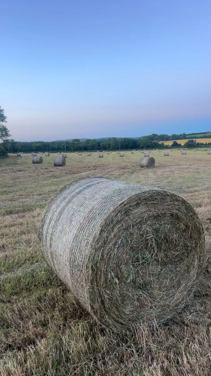 80 Round Bales for sale