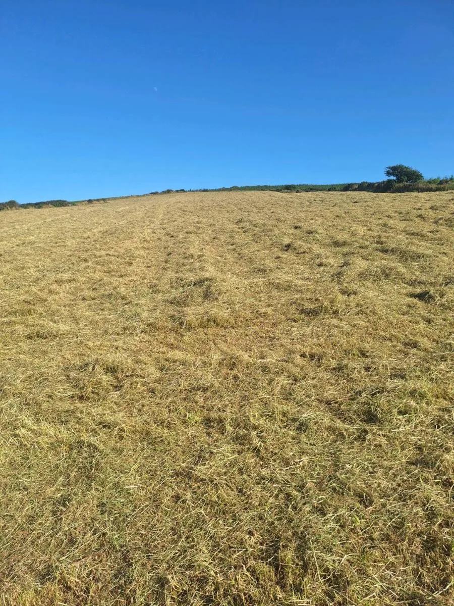 Hay bales - Image 3