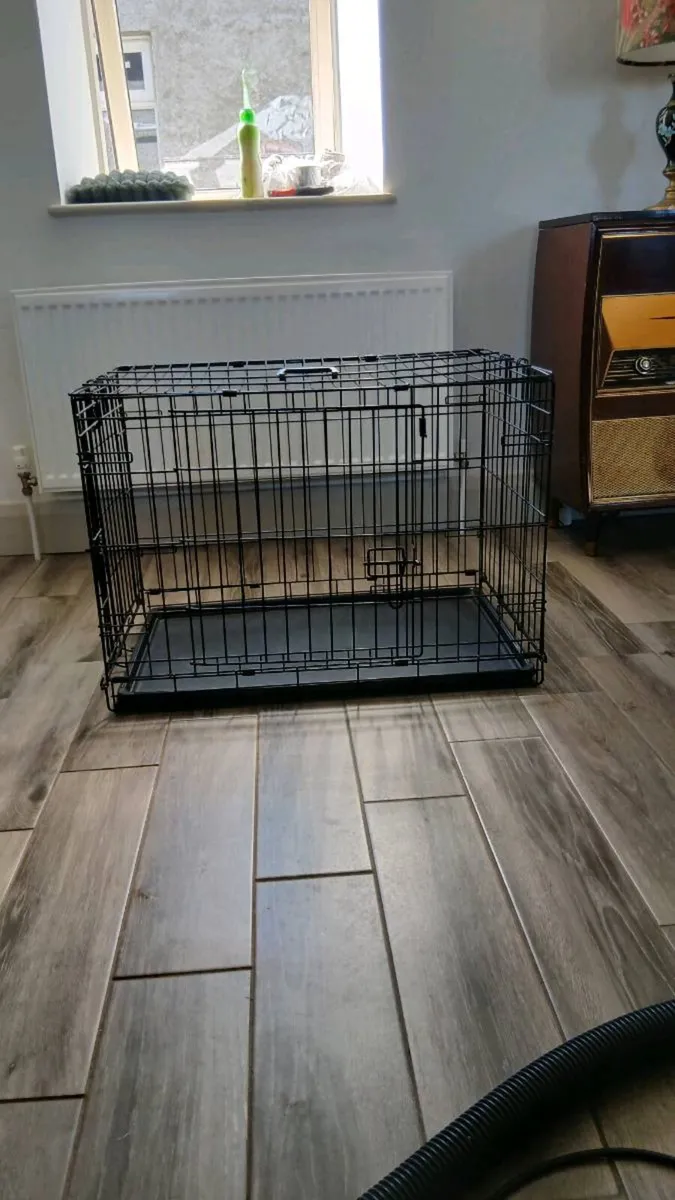 Training cage - Image 2