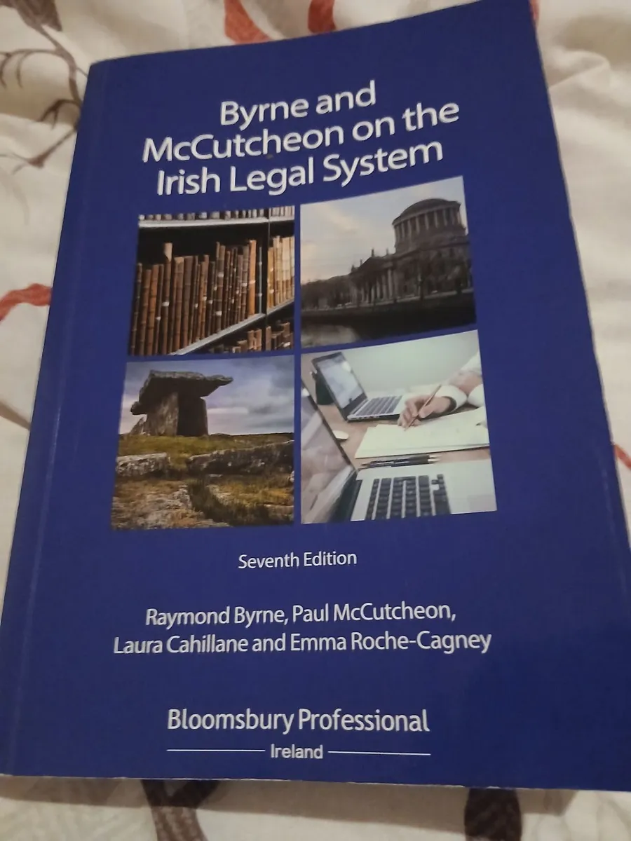 Bryne and McCutcheon on the Irish Legal System - Image 2