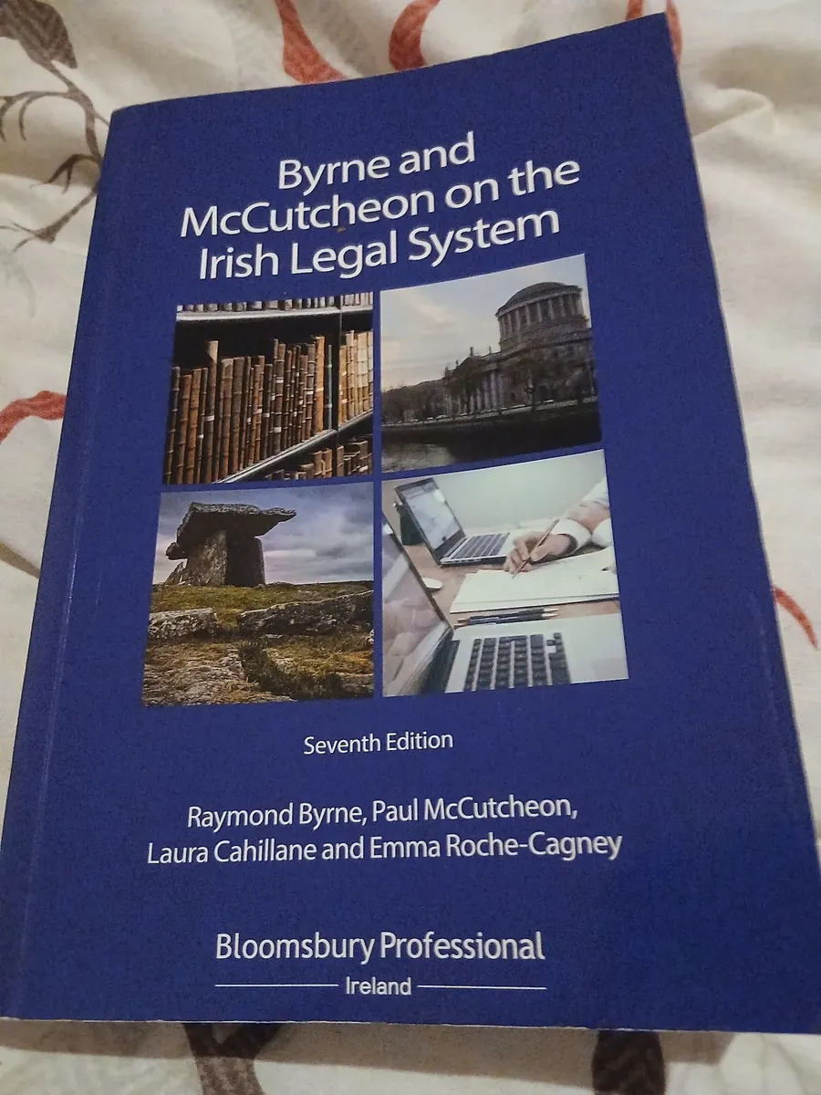 Bryne and McCutcheon on the Irish Legal System - Image 3