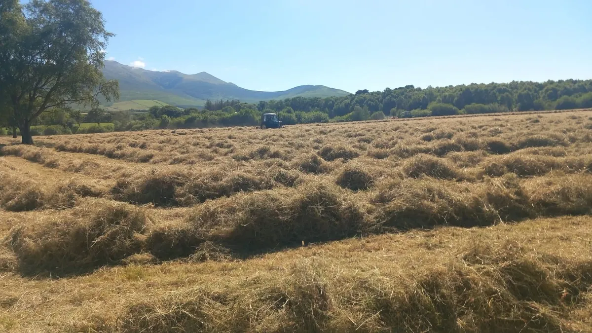 Organic Round & Square Bale Hay - Image 1