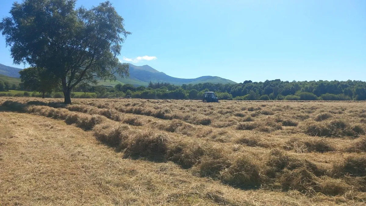 Organic Round & Square Bale Hay - Image 2