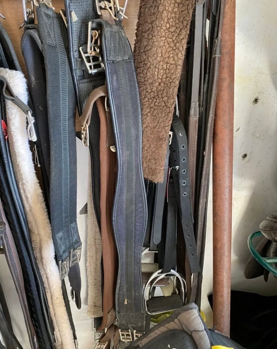 TACK/ BACK PROTECTORS/ ACCESSORIES - Image 3