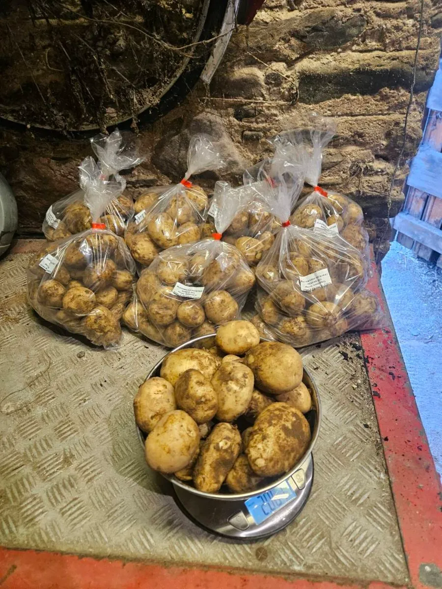 New Season Queen potatoes - Image 2