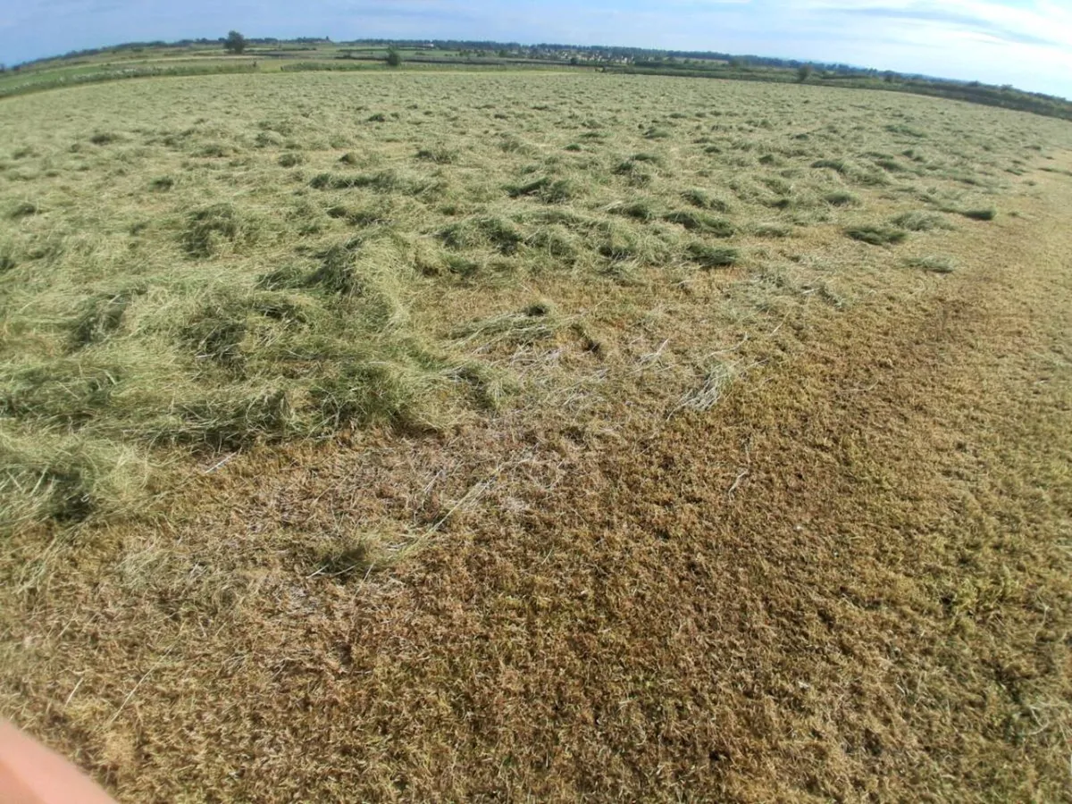 Square bales of hay