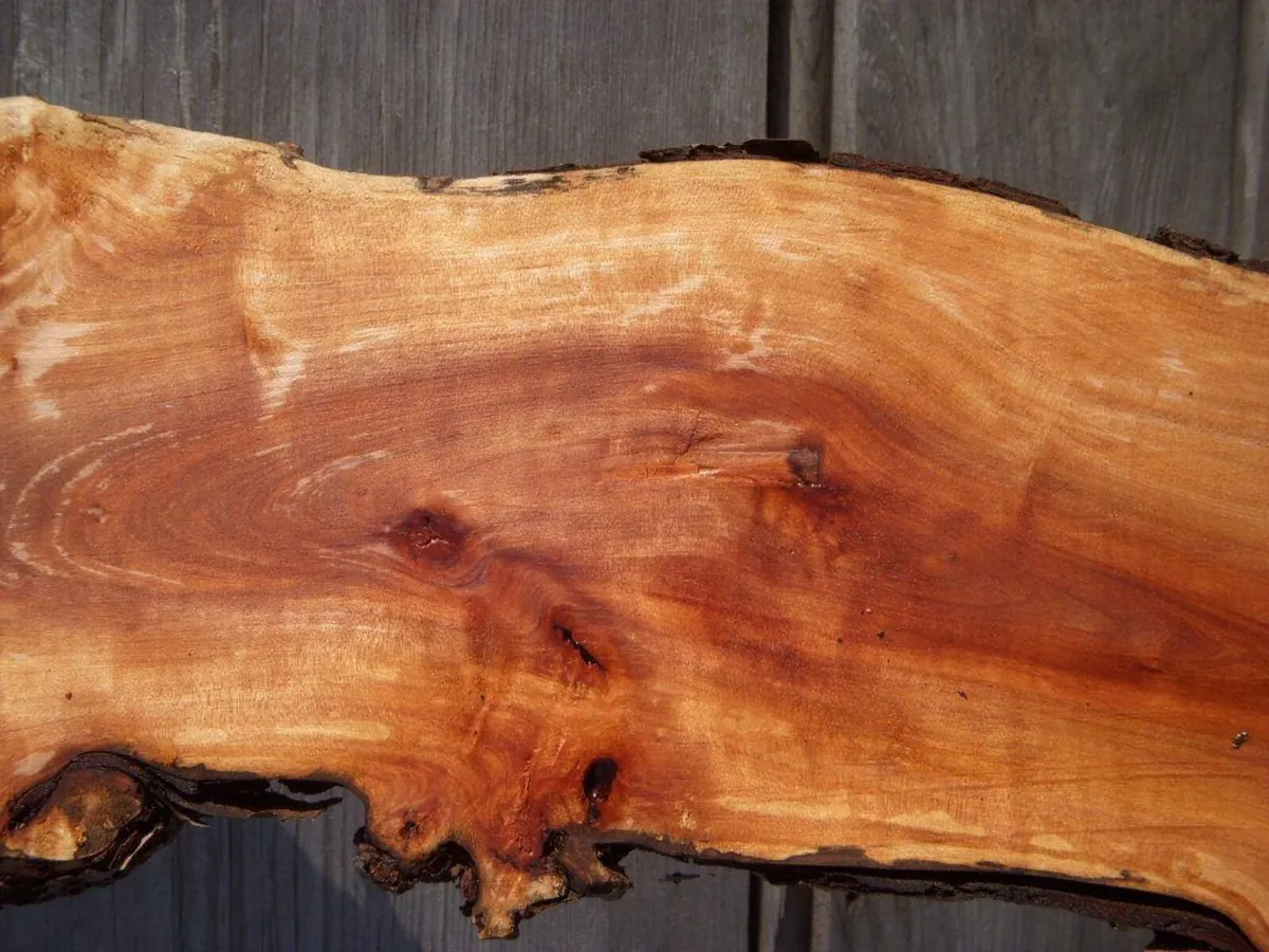 Timber from Fruit Trees Wanted - Image 3