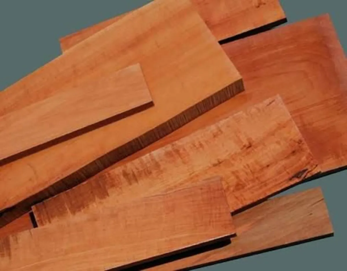 Timber from Fruit Trees Wanted - Image 1