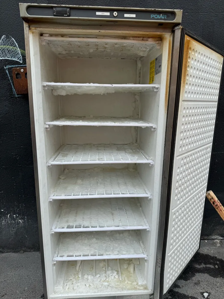 Commercial standing freezer - Image 2