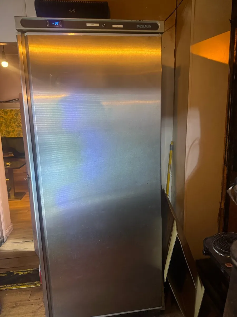 Commercial standing freezer - Image 1