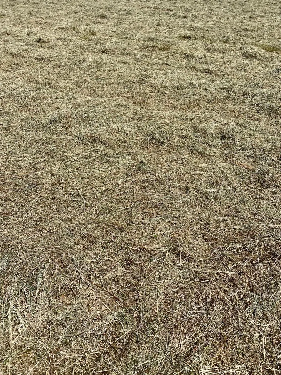 Hay for Sale