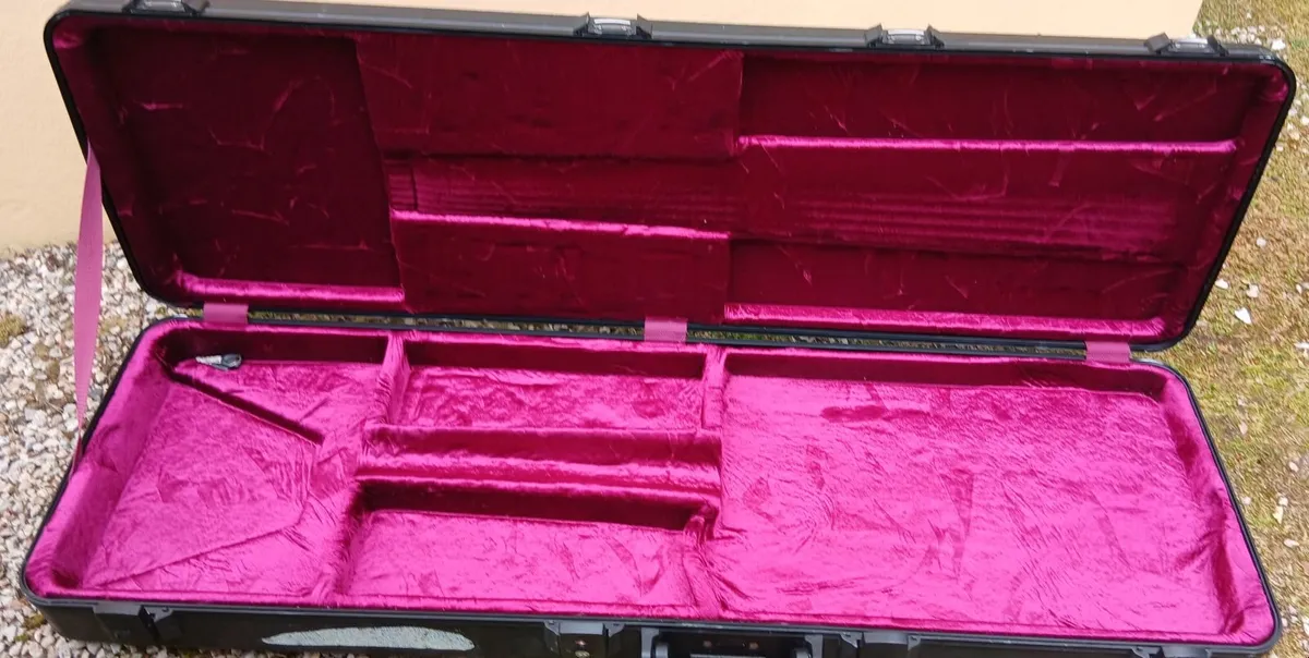 Bass Case - Image 1
