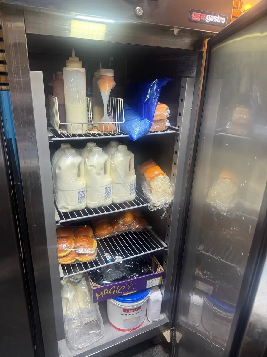 Commercial standing fridge - Image 2