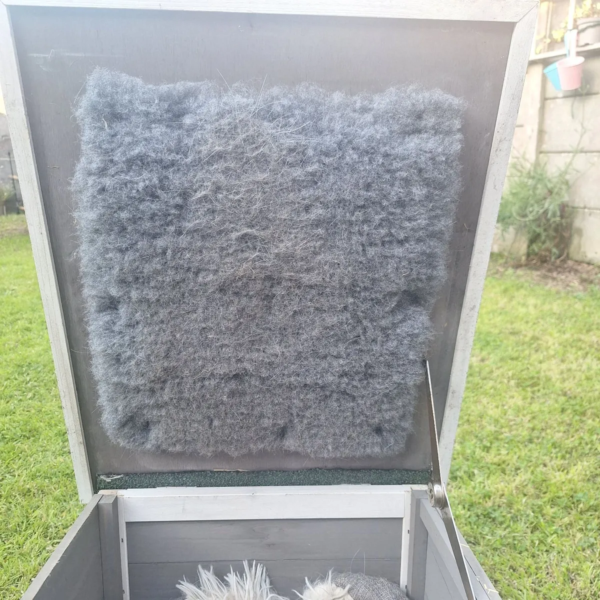 Home & Garden - Image 4