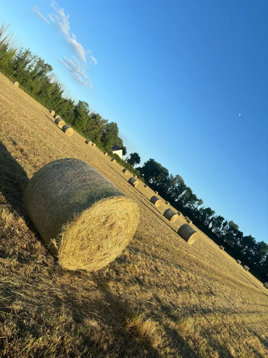 4 X 4 top quality Hay - Image 1