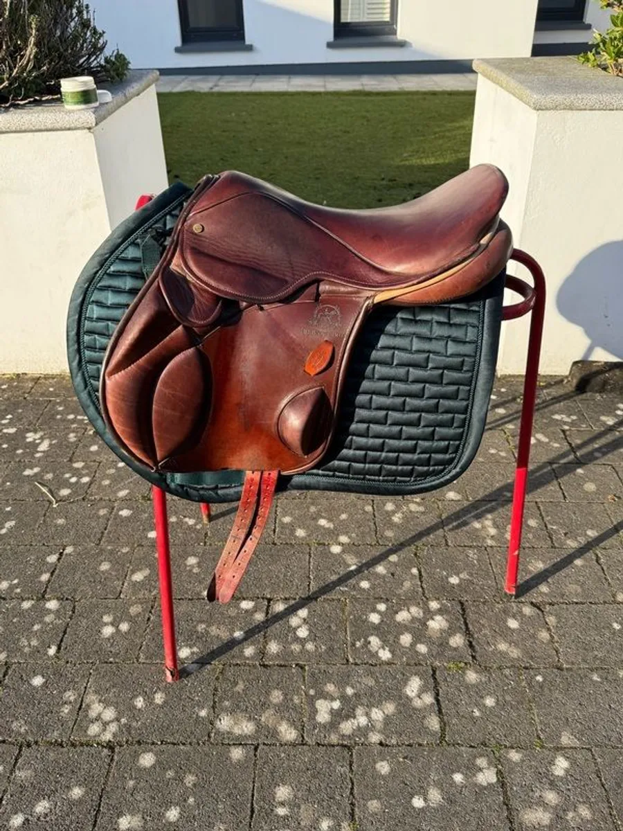 Berney's Grand Prix Olympic Saddle - 17in, Havana Brown, MW - Image 1