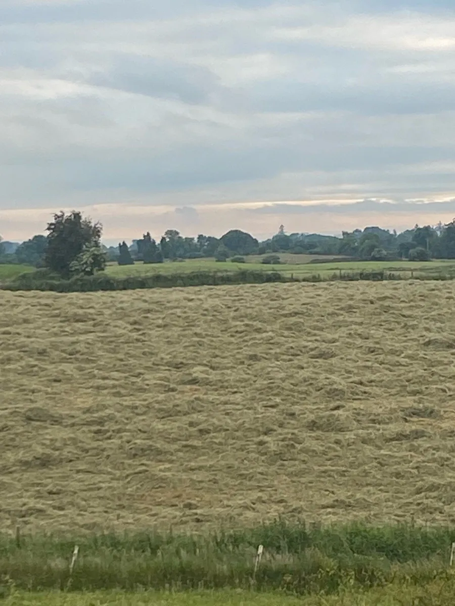Round bales of Haylage - Image 1