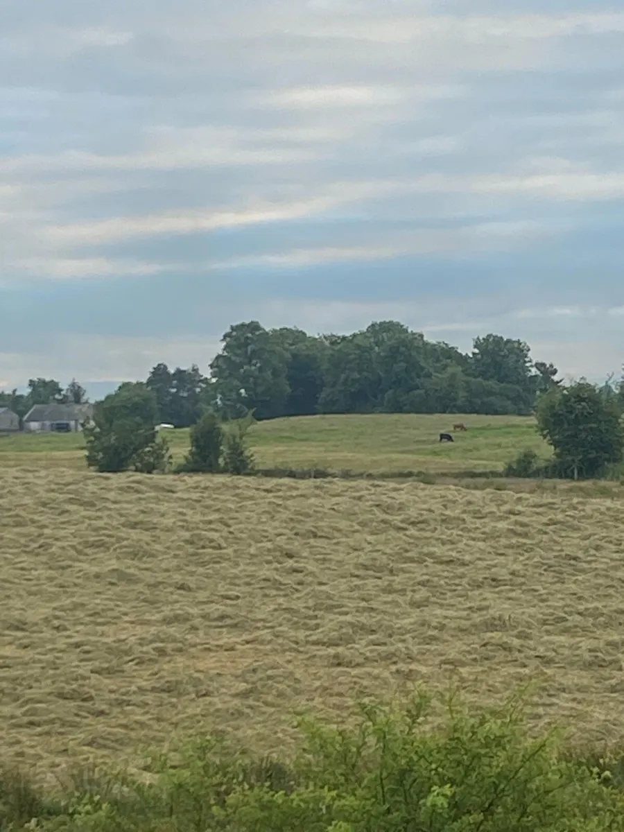 Round bales of Haylage - Image 2