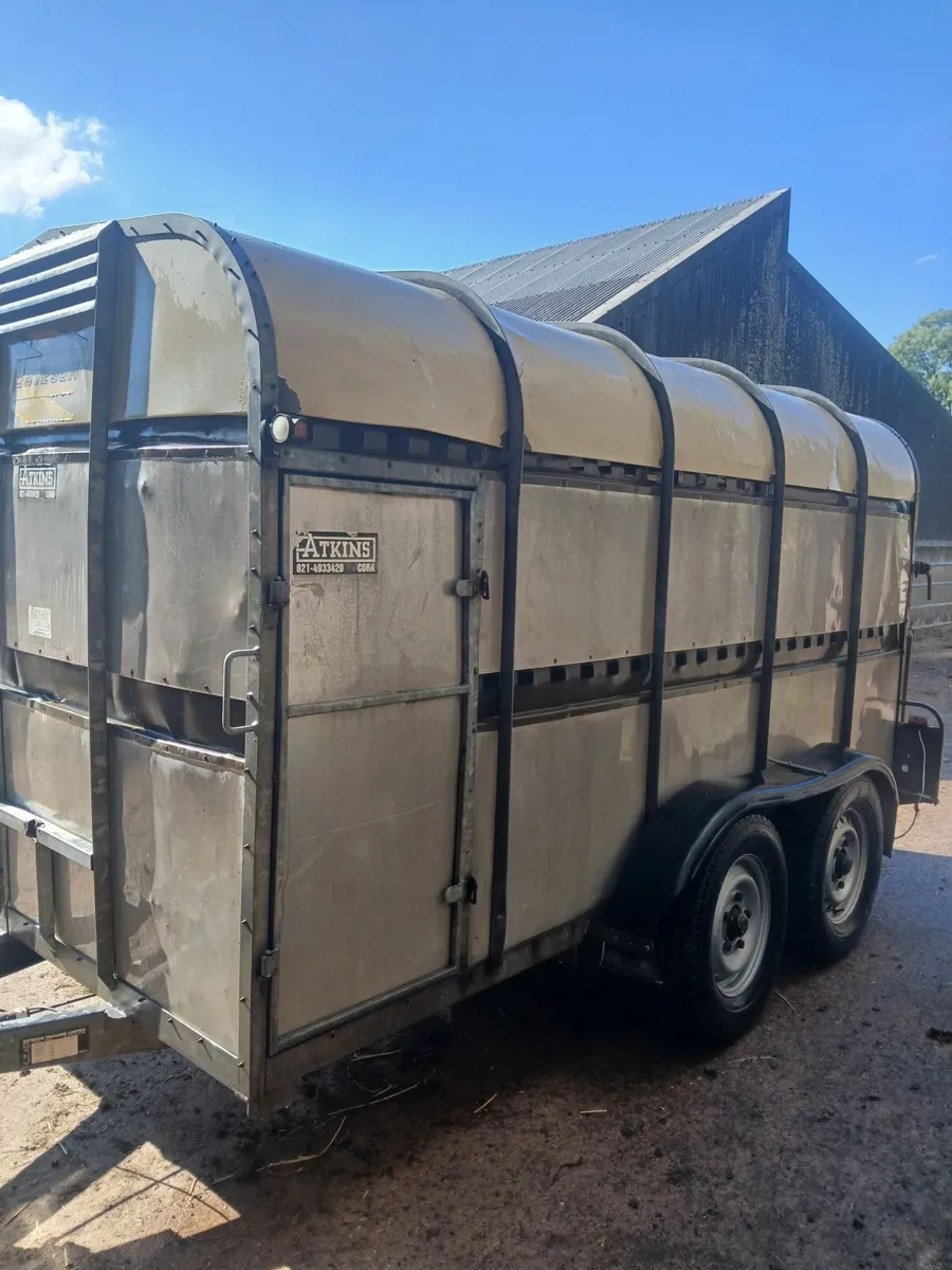 12 foot Cattle trailer - Image 2