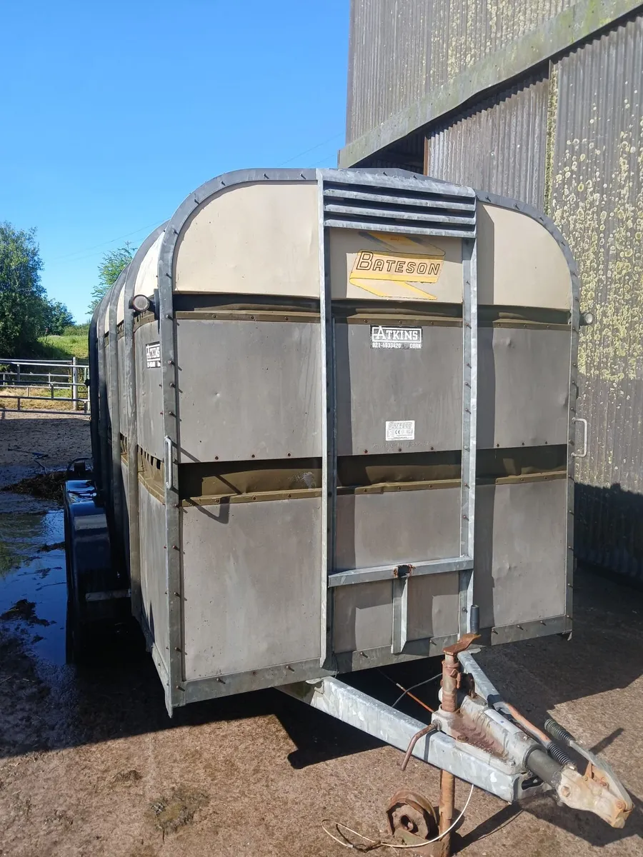 12 foot Cattle trailer - Image 3