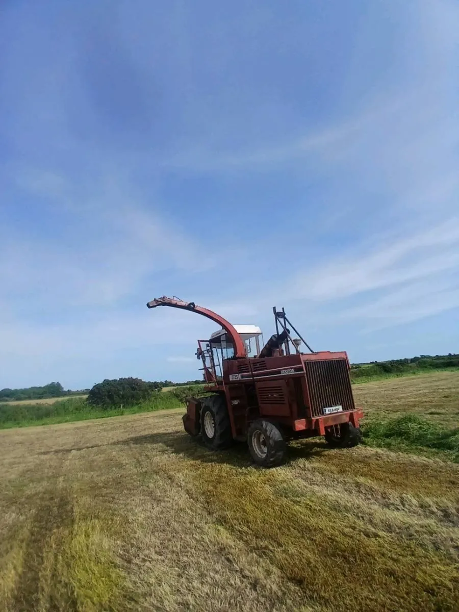 Hesston 7725 - Image 2