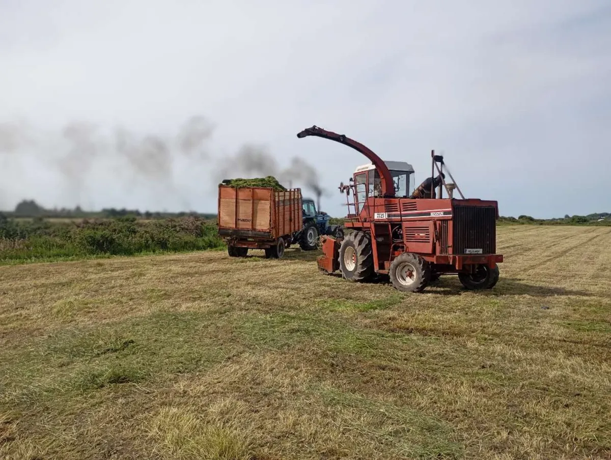 Hesston 7725 - Image 4