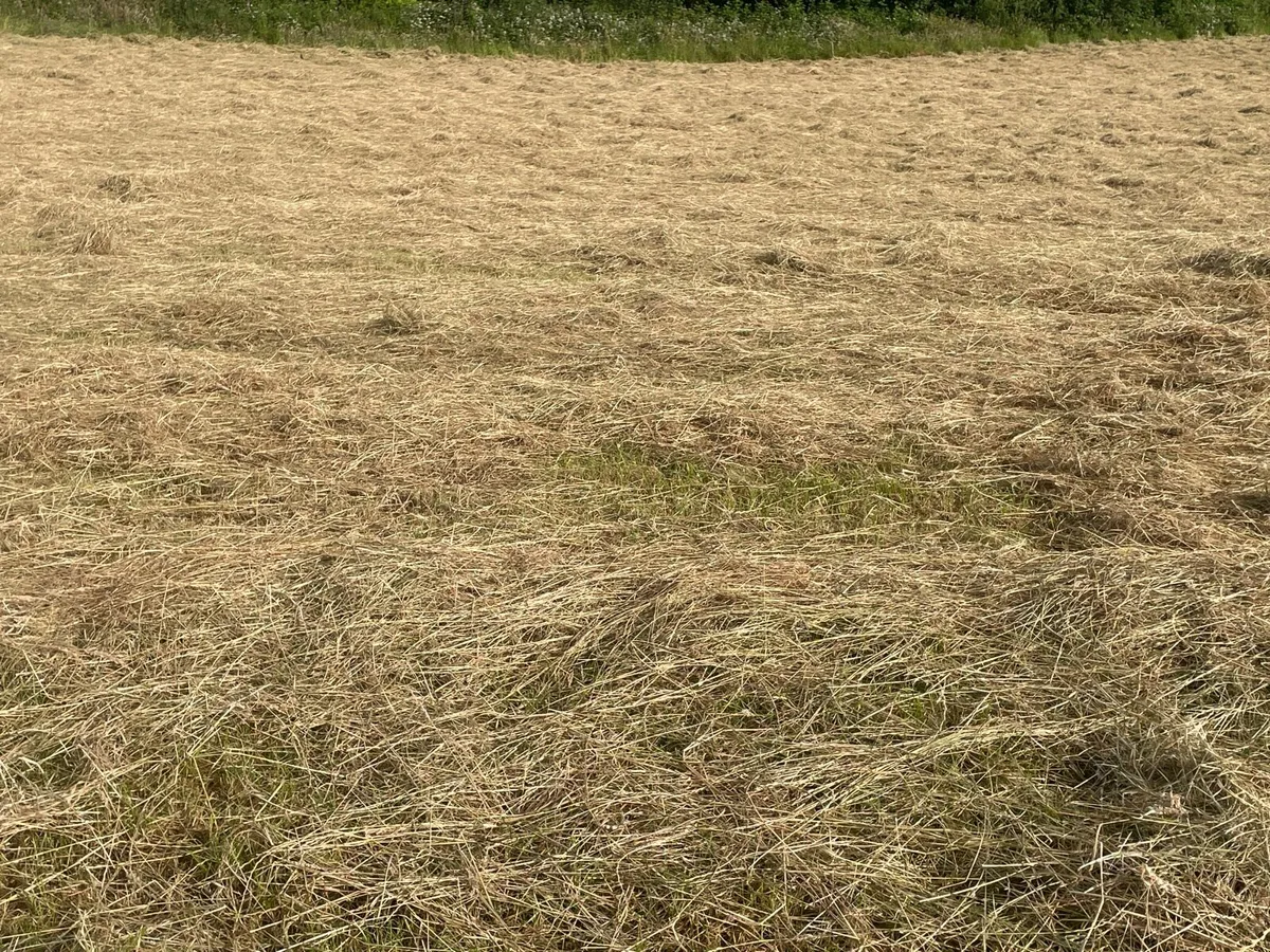 Organic Hay For Sale West Cork