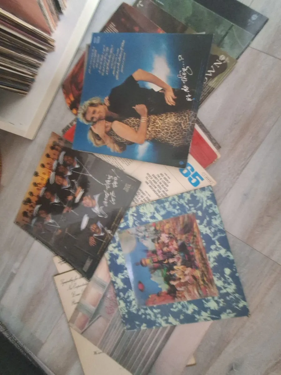 Vinyl records - Image 3