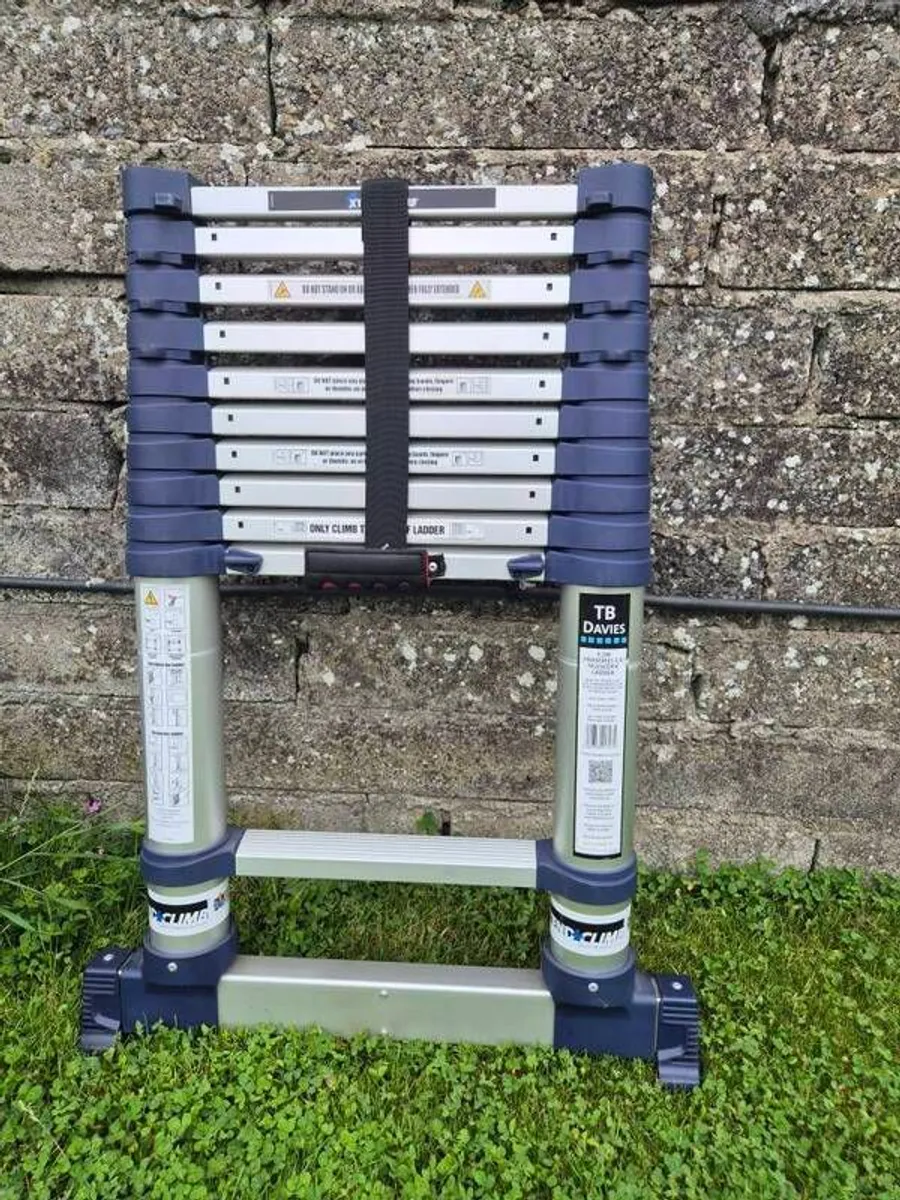 Telescopic Ladder - Image 2
