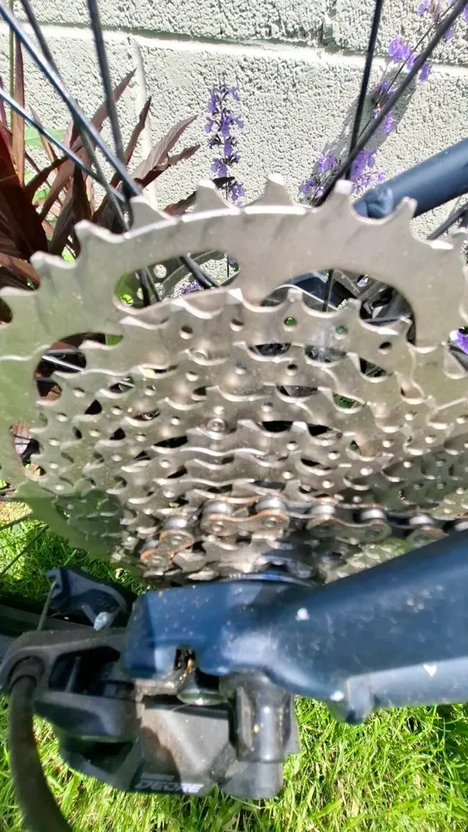 Bike - Image 4