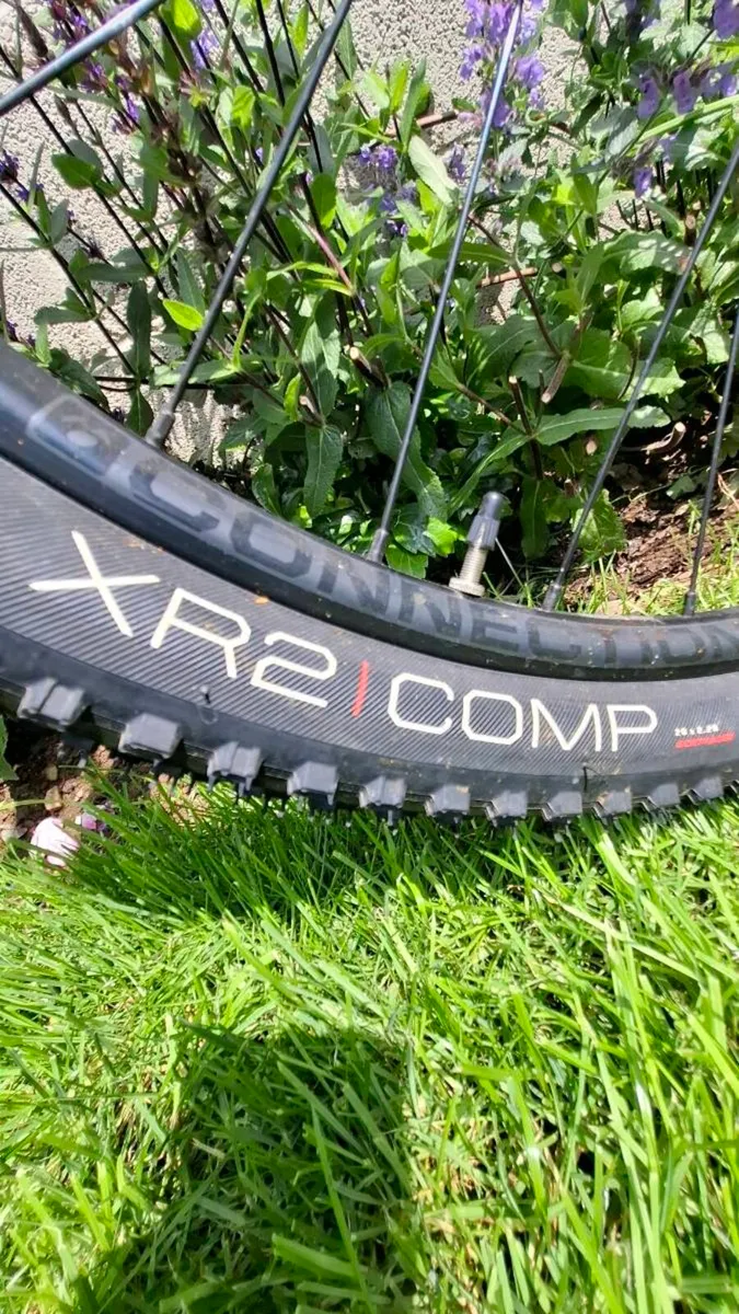 Bike - Image 3