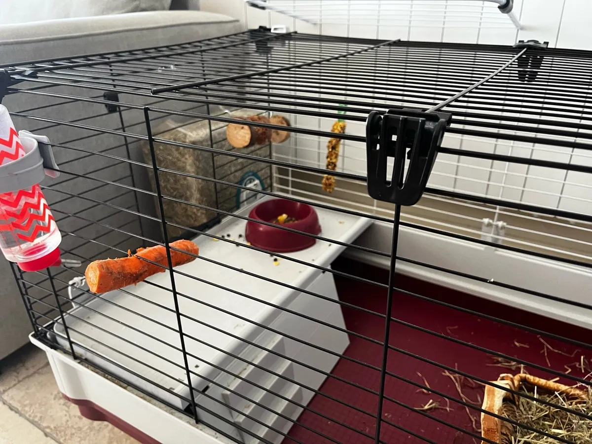 Cage for rabbit - Image 2